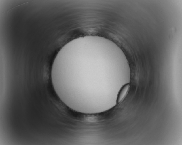 X0000089730710200707201841