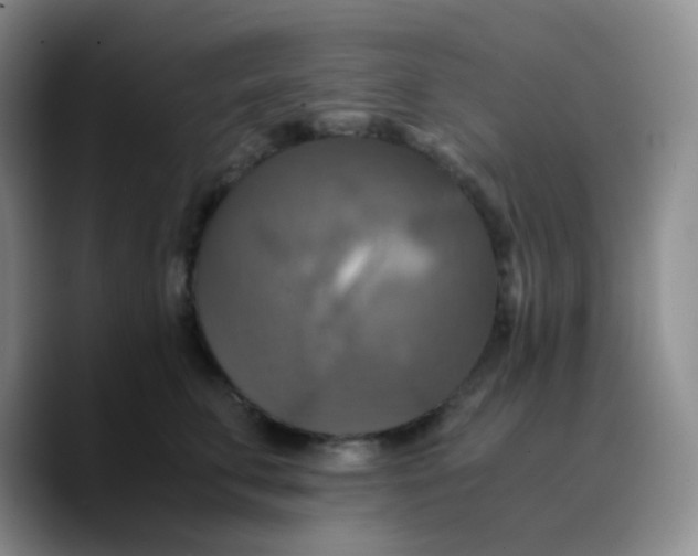 X0000089730711200707201841