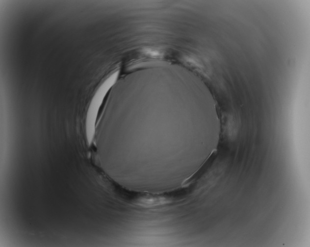 X0000089730712200707201841