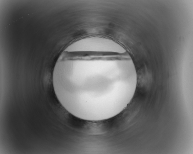 X0000089730713200707201841