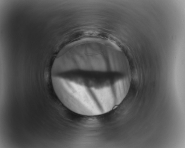 X0000089730715200707201841