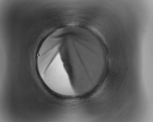 X0000089730721200707201840