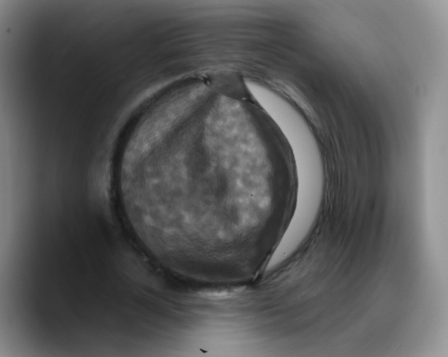 X0000089730724200707201841