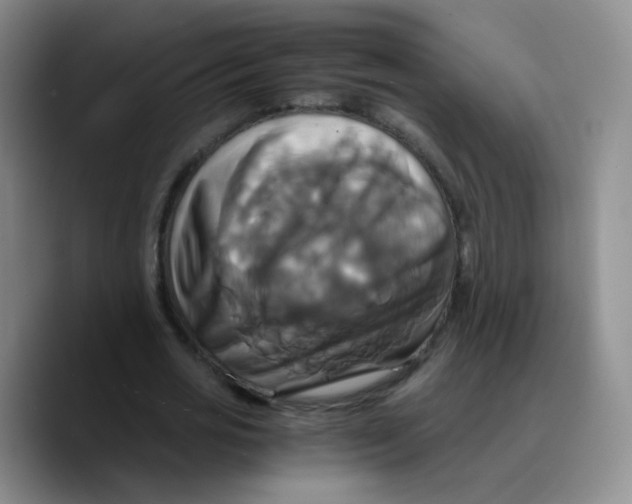 X0000089730725200707201841