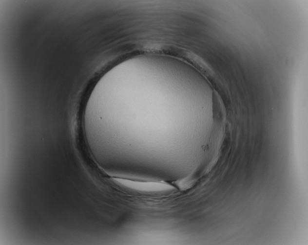 X0000089730728200707201841