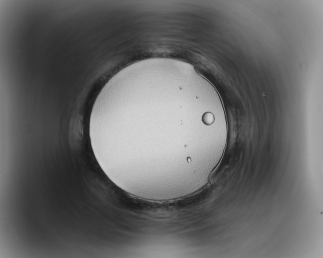 X0000089730731200707201841