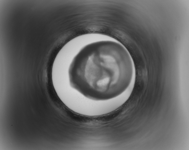 X0000089730734200707201841