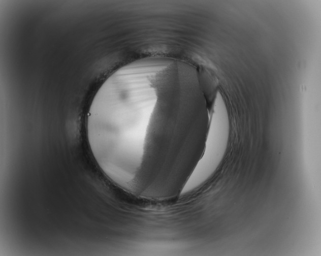 X0000089730735200707201841