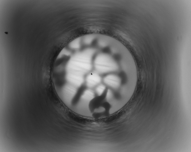 X0000089730737200707201841