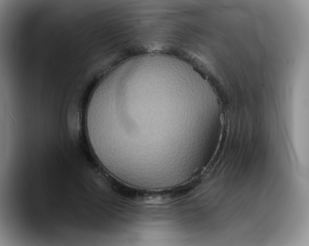 X0000089730740200707201841