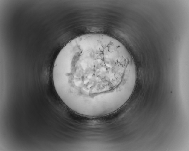 X0000089730741200707201841