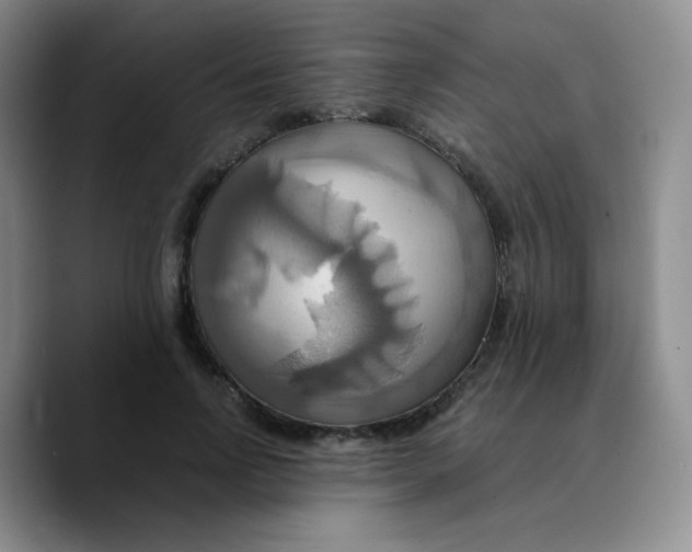 X0000089730742200707201841