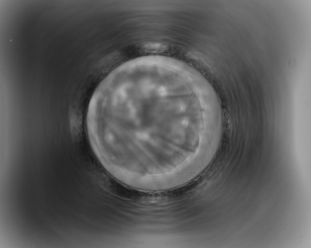 X0000089730745200707201841