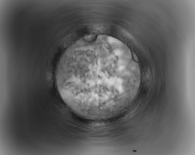 X0000089730749200707201841