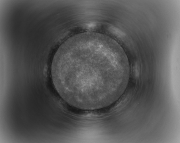 X0000089730750200707201841