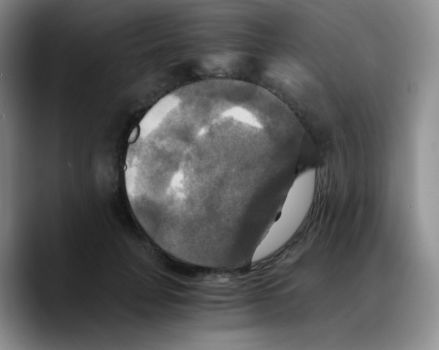 X0000089730751200707201841