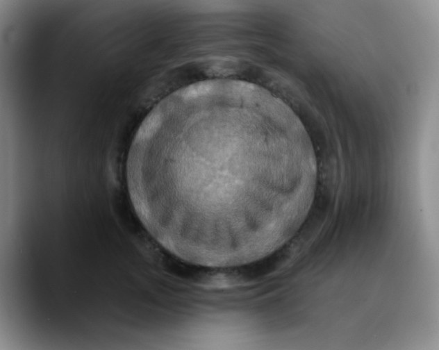 X0000089730755200707201841