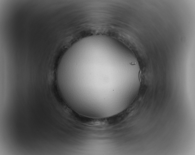 X0000089730756200707201841