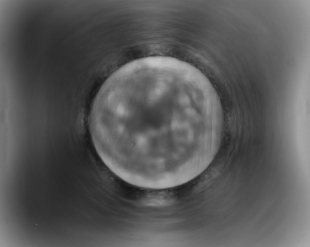 X0000089730757200707201841