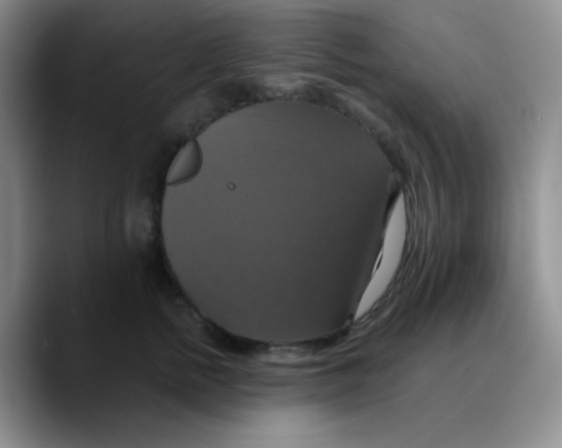 X0000089730758200707201841