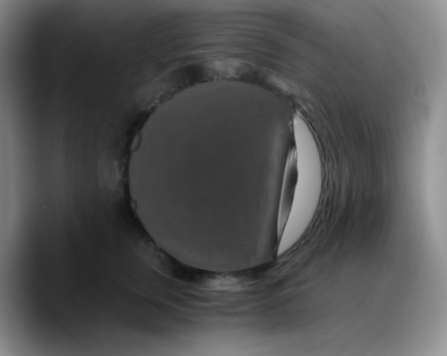 X0000089730759200707201841