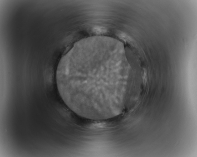 X0000089730760200707201841