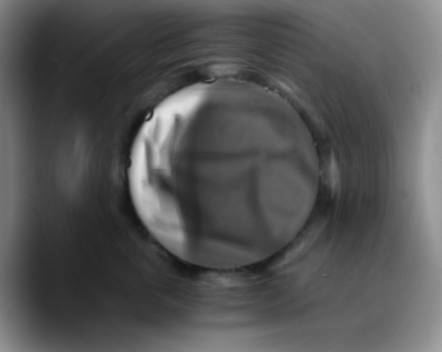 X0000089730763200707201841