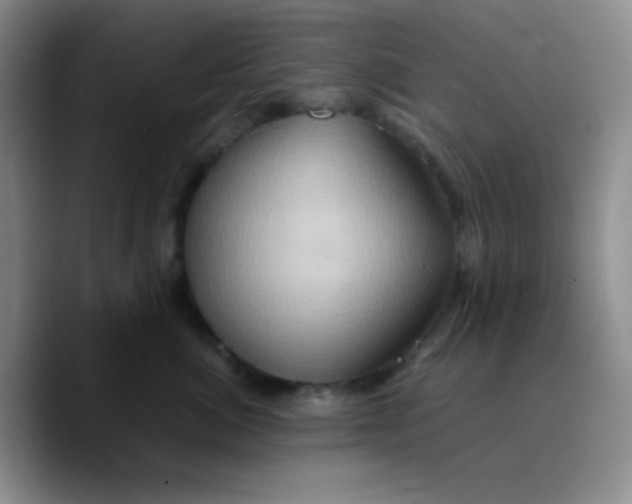 X0000089730764200707201841