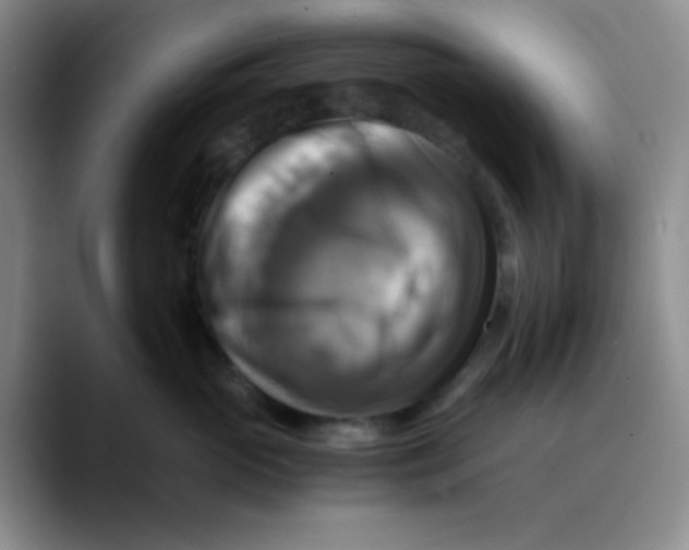 X0000089730765200707201841