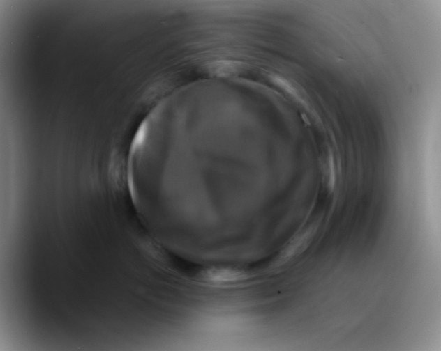 X0000089730766200707201841