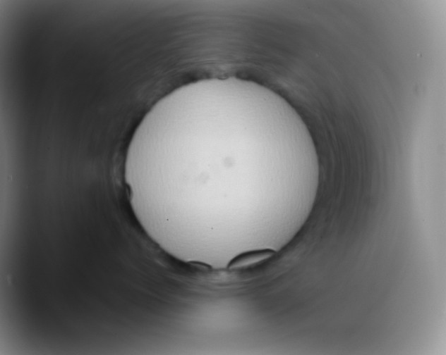 X0000089730768200707201841
