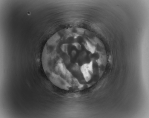X0000089730771200707201840