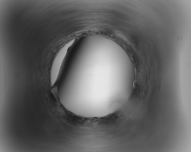 X0000089730773200707201840