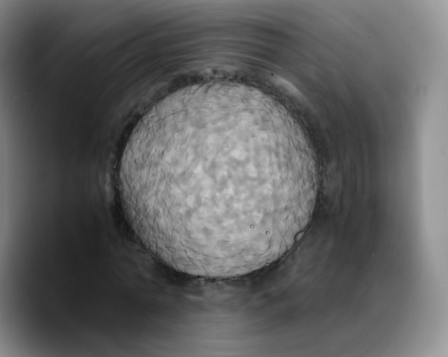 X0000089730774200707201840