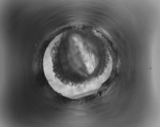 X0000089730775200707201840