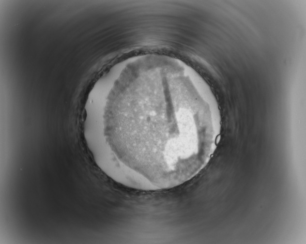 X0000089730776200707201840