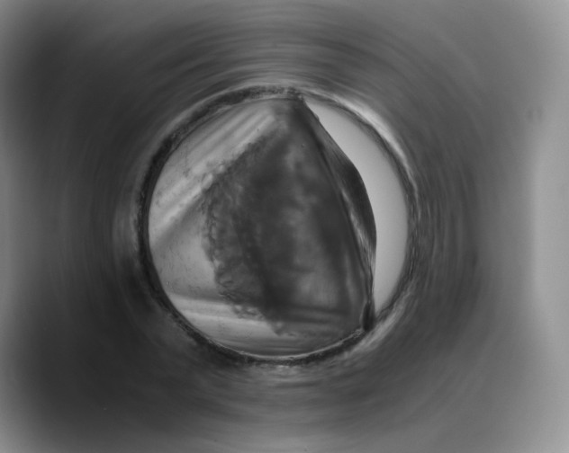 X0000089730783200707201840