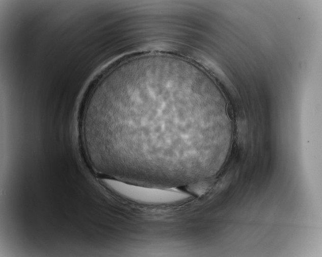X0000089730784200707201840