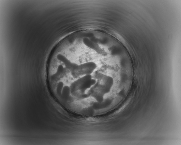 X0000089730787200707201840