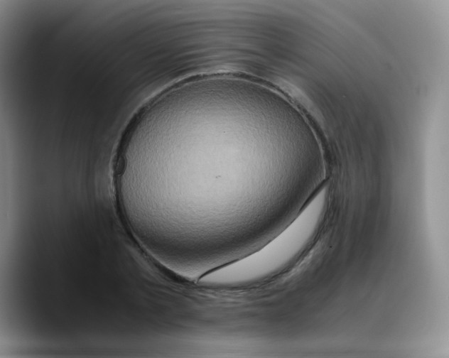 X0000089730789200707201840