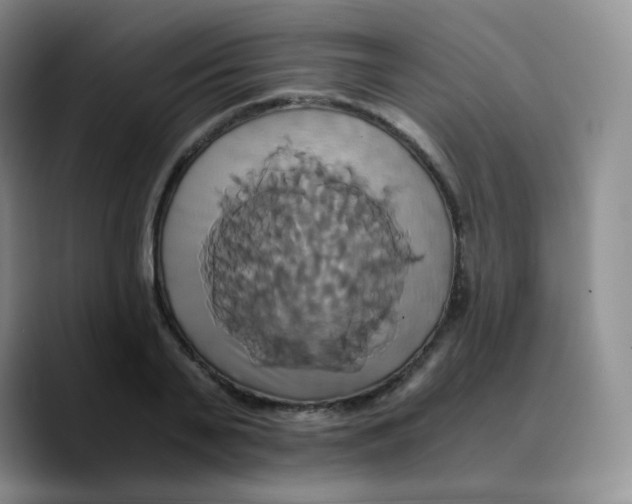X0000089730791200707201840