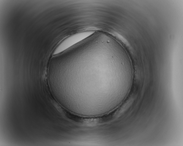 X0000089730793200707201840