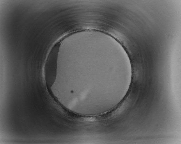 X0000089730798200707201840