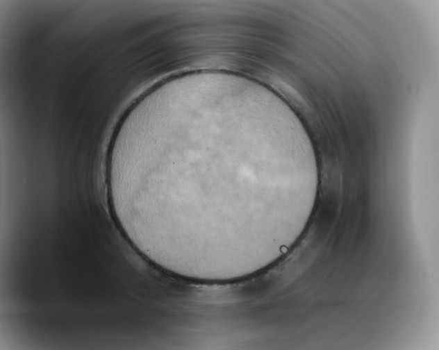 X0000089730800200707201840