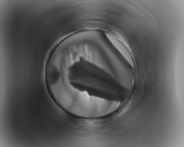 X0000089730803200707201840