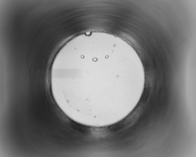 X0000089730804200707201840