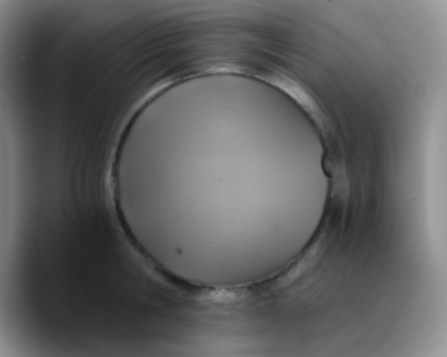 X0000089730806200707201840