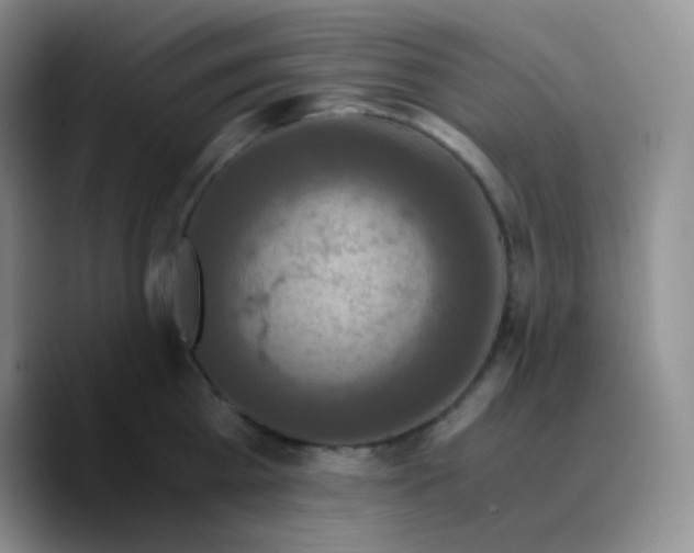 X0000089730809200707201840