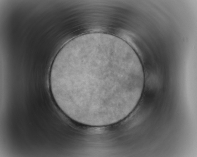 X0000089730810200707201840
