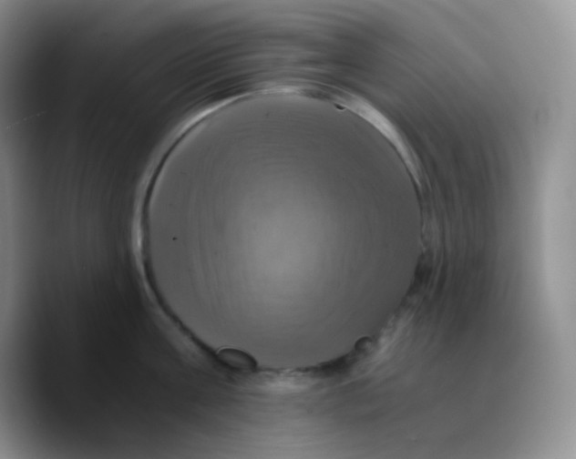 X0000089730811200707201840